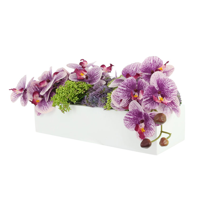 Orchid and Sedum Arranged in Fiberstone Planter, Purple, 8" H x 22" W x 13" D