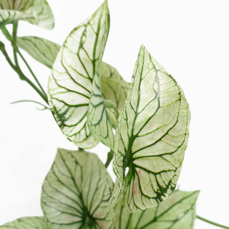 Foliage Plants 30cm Faux Plant in Planter