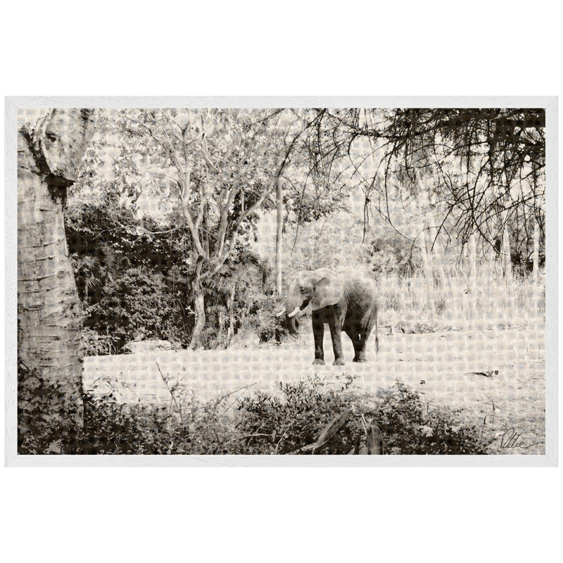 Elephant Jungle - Single Picture Frame Print, 41cm H x 61cm W x 4cm D, White