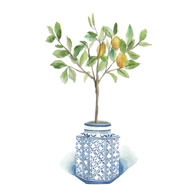 «Growing Lemon I» sur toile par Melissa Wang, H 18 po x l 12 po