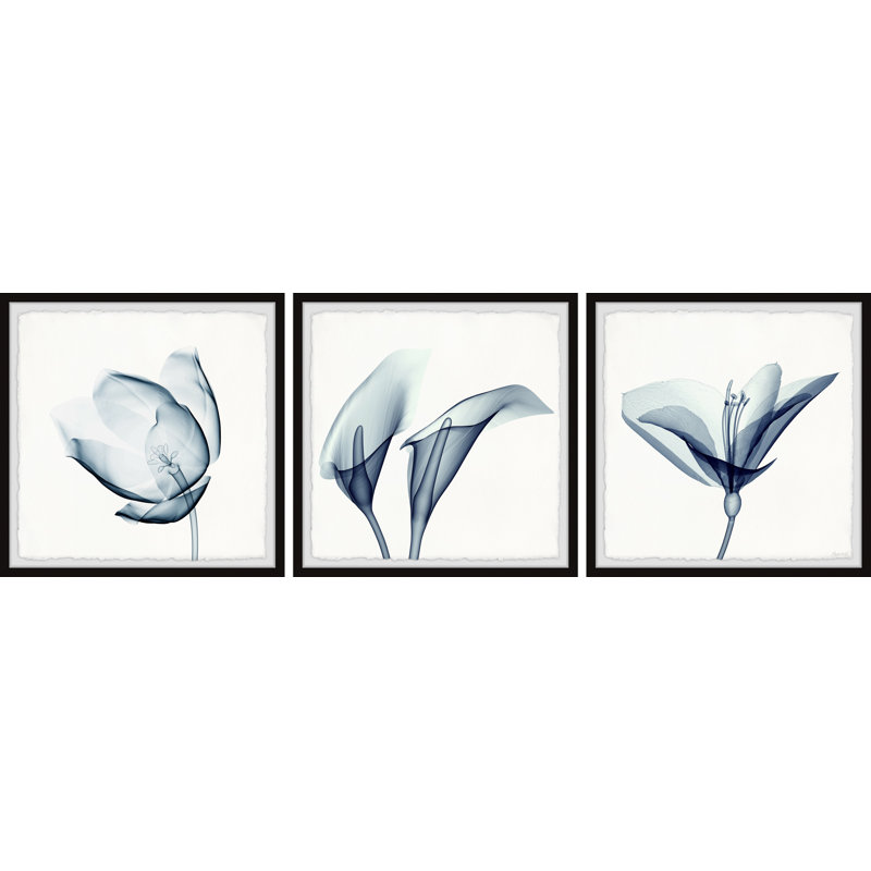 Dream Big Dreams by Marmont Hill - 3 Piece Single Picture Frame Painting Set, 30cm H x 30cm W x 3.81cm D