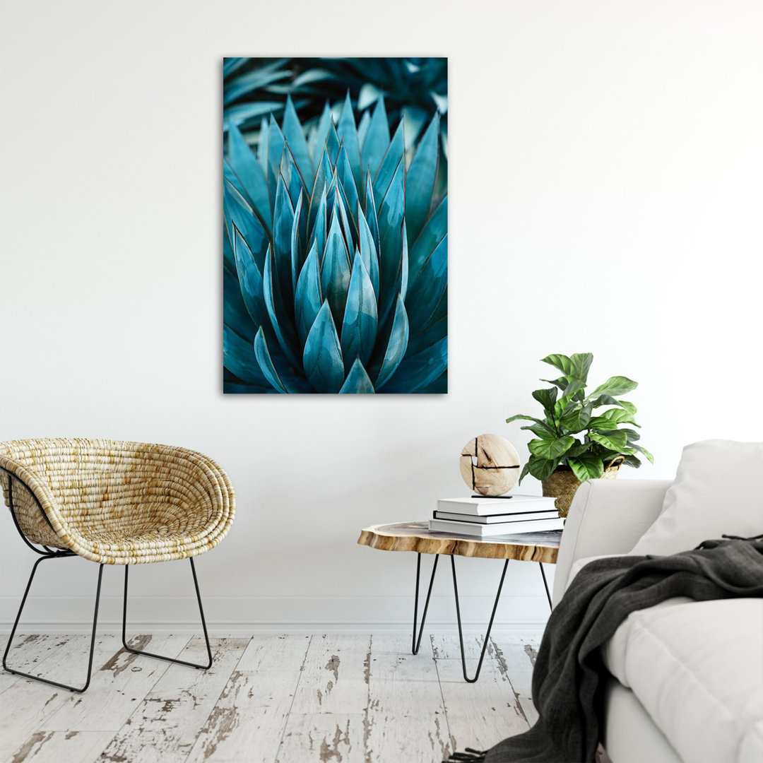 Fotodruck Exotic Succulent