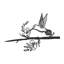 Silhouette d'un arbre - Colibri