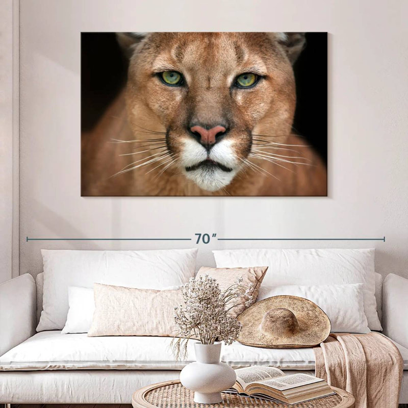 Crowle Staring Puma, 32" H x 48" W