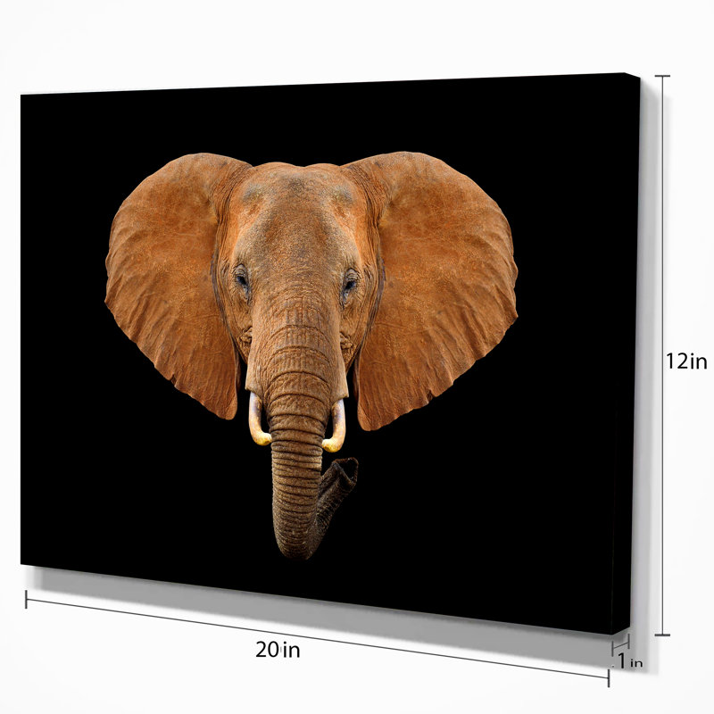 « close up éléphant head », reproduction d’impression sur toile tendue, H 20 po x l 20 po x P 1 po