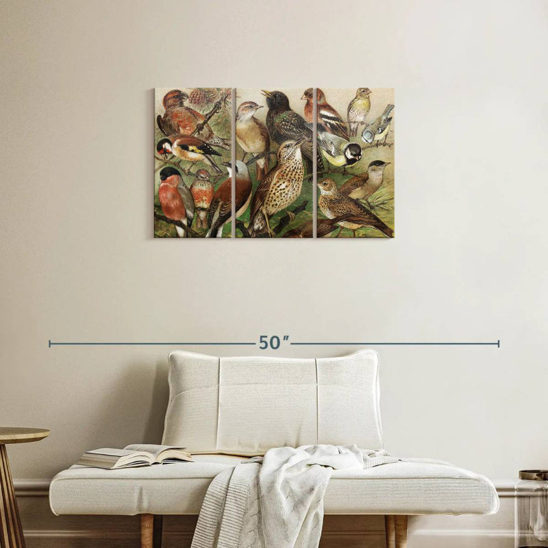 Collection d'oiseaux botaniques Brampt I, H 20 po x l 33 po