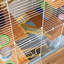 Cage à hamster 18 "à 5 niveaux avec tubes, tunnels, poignée de transport portable - bleue, comprend une bouteille d'eau, un plat à nourriture, une roue d'exercice pour poignée bleue, des petits hamsters et