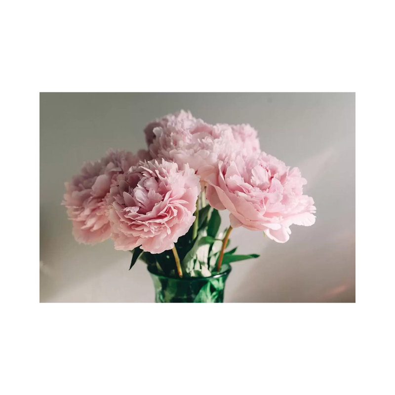 Pink Peonies On White I by Chelsea Victoria - Wrapped Canvas Print, 20.32 cm H x 30.48 cm W