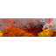 Parvez Taj - Wrapped Canvas Print-16672621