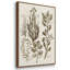 Sépia Botanical Journal VI 3 pièces-97711686-97711688
