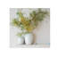 Portia Handcrafted Ceramic Jar