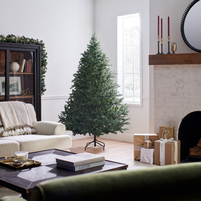 Norway Fir Tree