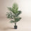 Callum Faux Palm Tree in Pot
