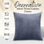 Chevron Square Throw Cushion Pad-547686443