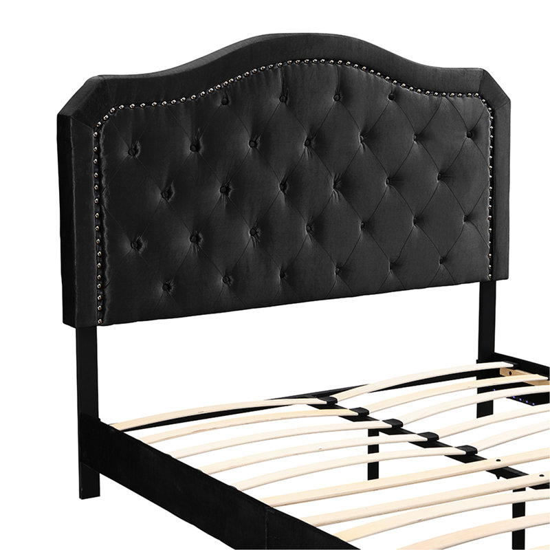 Button Velvet Upholstered Bed - Queen Stable Wood Frame Black Led Lights Simple Assembly Exceptionality Easy Quality, Black