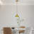 1 - Light Glass Single Pendant With Adjustable Height