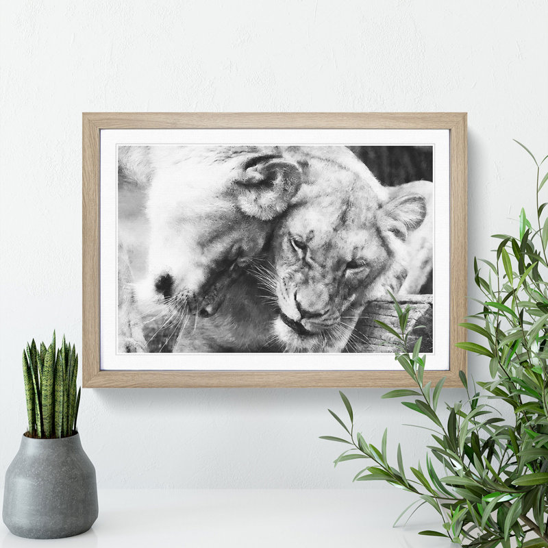 Two Snuggling Lions - Single Picture Frame Print on MDF, Oak, 24cm H x 33cm W x 2cm D