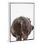 Art hippopotame-49839937-49839938