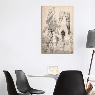 Sketchbook Studies Of Human Legs by Leonardo Da Vinci - Wrapped Canvas Print