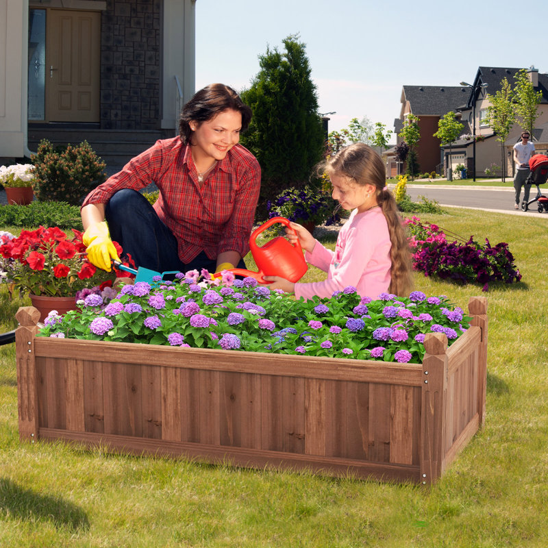 Cajigas Wood Planter Box