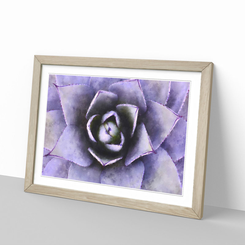 Lilac Succulent Plant - Picture Frame Graphic Art Print, 24cm H x 33cm W x 2cm D, Oak Framed