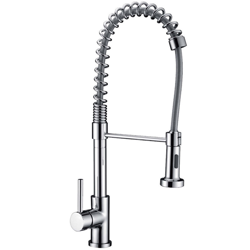 Robinet de cuisine luxueux à poignée simple