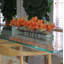 Driftwood Cymbidium Orchids Centerpiece in Glass Planter-1216674880-1216674881