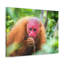 No Frame Print on Canvas-886952265