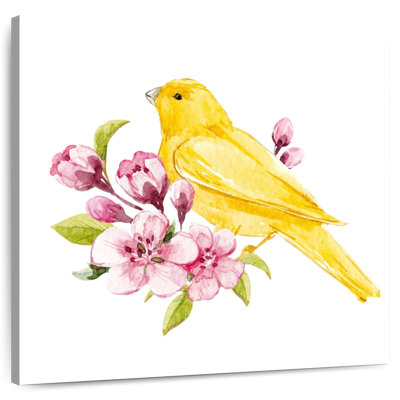 Crowle, oiseau ensoleillé