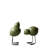 Swedish Bird Pack Shiny Green 2 Pack