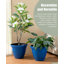 Ensemble de 2 pots à fleurs ronds en céramique artificielle bleu cobalt 15,5 "-995547849-995547891