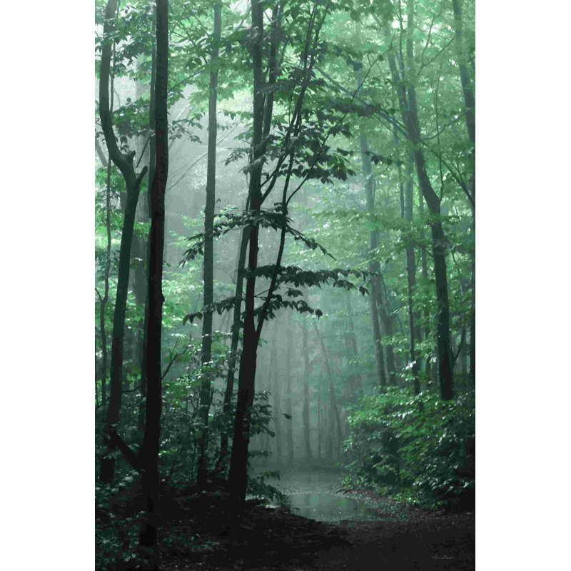 Forêt brumeuse 2885377, L 12 po x H 18 po