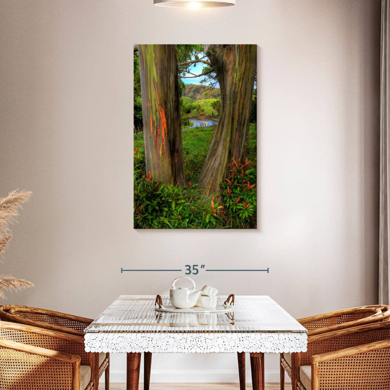 Harnek Roadside Rainbow Eucalyptus, 45" H x 30" W