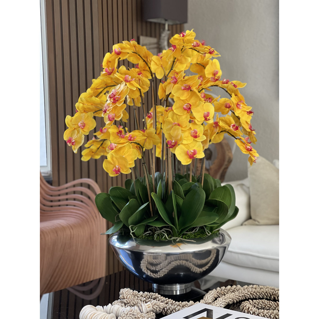 Orchid Arrangement in Planter Red Barrel Studio® Flowers/Leaves 