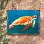 Bloc de bois tortue de mer Revis-1637351698