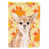 Chihuahua brun clair sélectionné