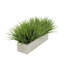 Herbe d'oignon artificielle en pot-1435386111-1435473018-1435473021