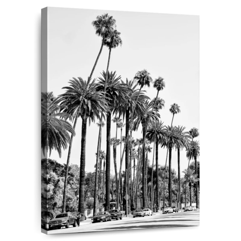 Sireci Black California LA's Palm Trees, 51" H x 34" W