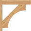 Sapin Douglas-109329477-113998552
