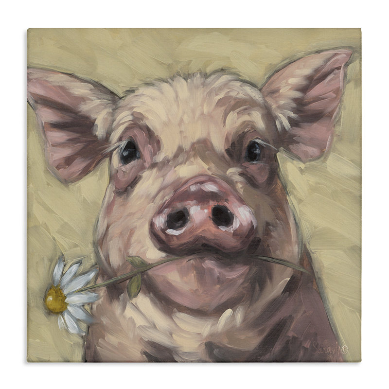 Cochon tenant une marguerite sur toile, design par Sara G. Designs, H 24 po x l 24 po
