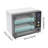 Egg Incubator