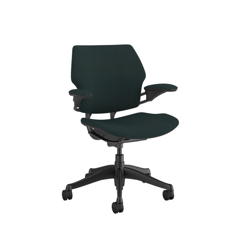 Freedom Ergonomic Task Chair - Guest, Graphite, Gray - 11