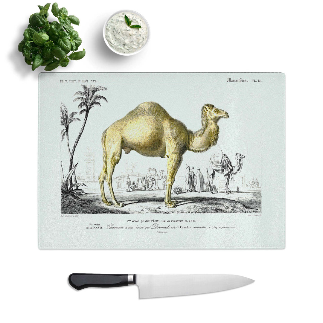 Tempered Glass Camel Illustration Chopping Board
