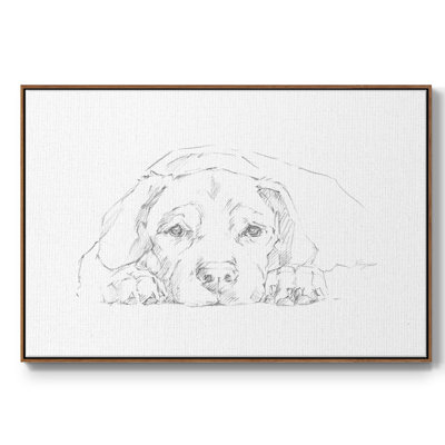 Lazy Dog III