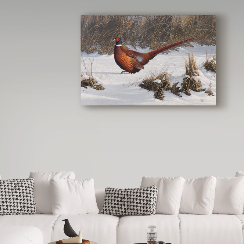 «Winter Walk Pheasant» par Berrien, impression sur toile tendue, H 30 po x l 47 po x P 2 po