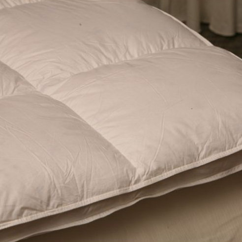 Surmatelas en plumes d'oie blanches 2 po, Très grand