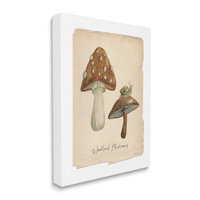 «Woodland Mushroom & Snail On Canvas» par Carol Robinson, reproduction