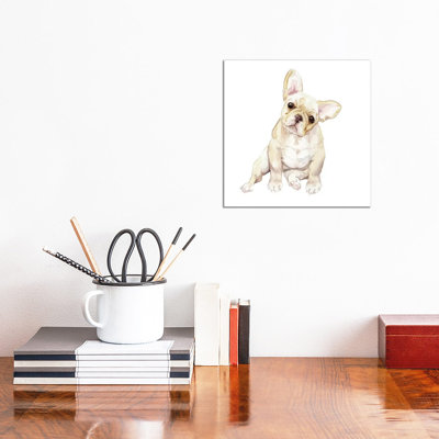 Blonde French Bulldog by Wandering Laur - Wrapped Canvas Painting