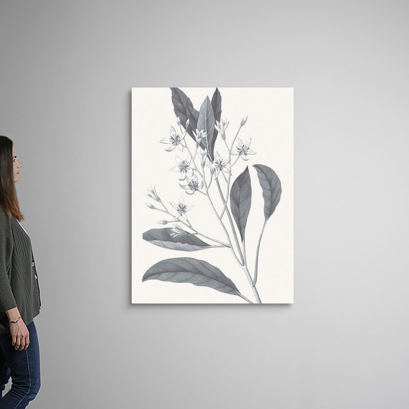 «Neutral Botanical V», art mural sur toile, Toile tendue, H 48 po x l 36 po x P 1 po