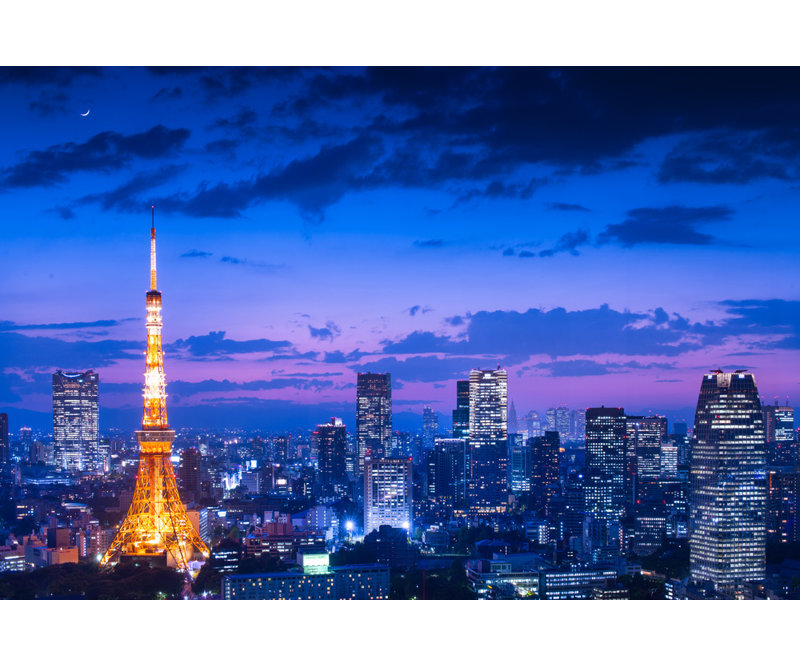 Wrapped Canvas Print, 50.8 cm H x 76.2 cm W